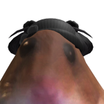 @CoaMist