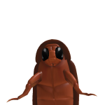 @gummybear1122334
