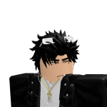 LLL_S4N