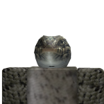 @robloxer201134