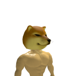 @dogewithgunz