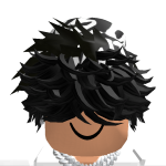 @roblox_user_1164168690