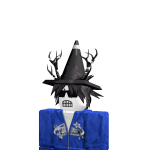 @Br4dyWHU