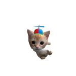 @RiceWomannn