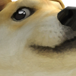 @TheOneAndOnlyDoge09
