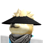 @YoDogeRBLX
