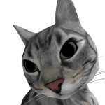 @catnap_birthay2015