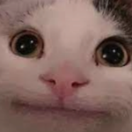 User 5497908786 Roblox avatar