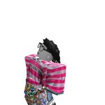 @flyguy201134