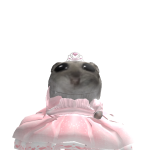 @Ur_pookie1014