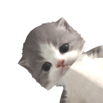 @ccvrer