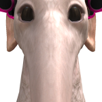 @R1L3YSSW4G