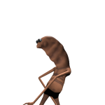@NoobyPlaysTT