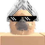 @lloydhbrand
