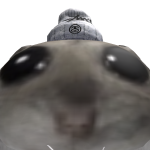 @Ofa_H3r0
