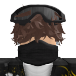 @RobloxGamerBoylool
