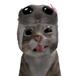 @Jacky5798