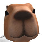 @Docbenev