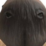 OwenFSS