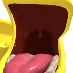 @RafayP