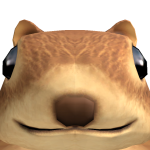 @ShyToad