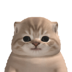 @mojothekin