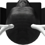 @homeboyturkey