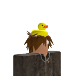 @d_rkii
