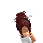 @Robloxi_04