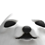 @oomi5o6