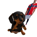 @cxlsqt