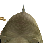 @3LL1ER0SE