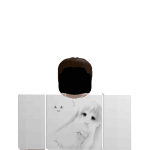 @zerkXVI