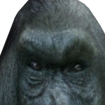 @godzillakingis