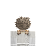 @noah2jzy