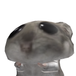 @jtm_paco8
