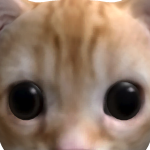 @galxykittycat1