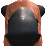 @wkwiwikek2k