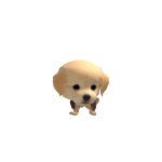 Jeydot