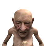 LBDAN11