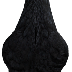 @gabrielkidsgame