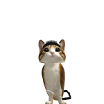 @PET_Lazy0