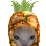 @rafabr_gamer01