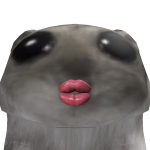 @adorbsnqt