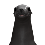 @TimmyToeFAN