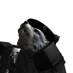 XxTheLoneWolfxX's avatar