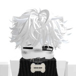 @VerityDevRBLX