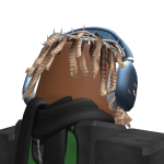 @Theplayz8533