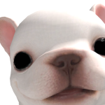@pugpandaunicorn1