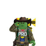 @insotpro